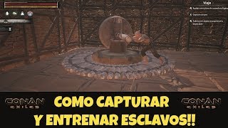 Como capturar y entrenar esclavos Conan Exiles [upl. by Eetnod]