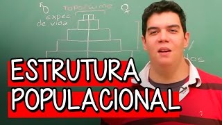 Estrutura Populacional  Extensivo Geografia  Descomplica [upl. by Aihsile]