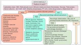 Hepatomegaly in pediatric [upl. by Aneba]