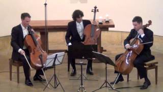 Haydn Divertimento D Major on 3 Celli live in concert [upl. by Siladnerb]