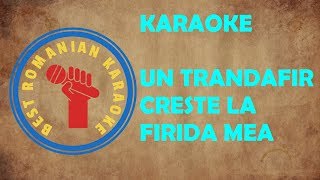 KARAOKE Un trandafir Creste la Firida mea Versuri Negativ [upl. by Dnomzed869]