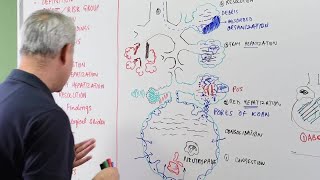 Chest Xray Introduction and Approach [upl. by Mapes]