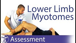 Myotomes Lower Limb  Peripheral Neurological Examination [upl. by Suissac]