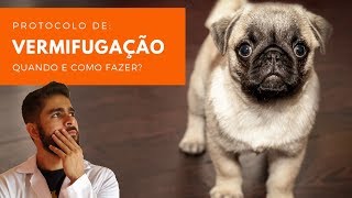 VERMIFUGAÇÃO  SAIBA COMO E QUANDO VERMIFUGAR SEU CÃO E GATO  DESVERMINAR [upl. by Pryor]