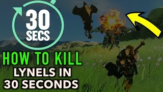 How to Beat a Lynel in 30 Seconds or Less in Zelda Breath of The Wild [upl. by Nobile521]