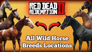 All Wild Horse Breed Locations in Red Dead Redemption 2 [upl. by Aihn]