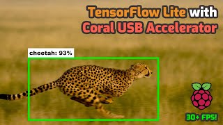 How to Use the Coral USB Accelerator with the Raspberry Pi  Increase TensorFlow Lite FPS [upl. by Oramug]