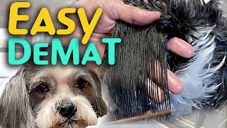 2 EASY WAYS to DeMat your DOG at home NATURALLY [upl. by Kimitri]