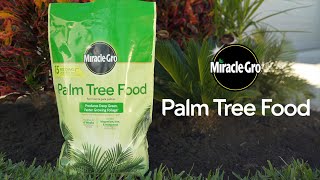 How to Use MiracleGro® Palm Tree Food [upl. by Ylecara]