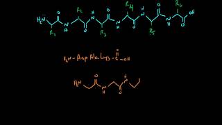 Drawing Peptides [upl. by Ayad]