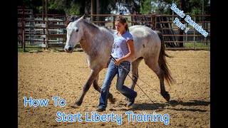 How To Start Liberty Training With Your Horse Basic Exercises Part 1 [upl. by Dibrin35]