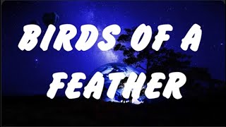 Billie Eilish  BIRDS OF A FEATHER Lyrics Ed Sheeran Lana Del Rey ROSÉ amp Bruno Mars [upl. by Arnelle]