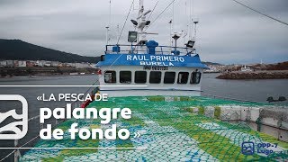 OPP7 La Pesca de Palangre de Fondo en Aguas Europeas [upl. by Nierman]