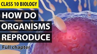 How Do Organisms Reproduce Class 10 Full Chapter Animation  Class 10 Science Chapter 8  NCERT [upl. by Engle115]