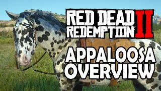 Appaloosa Overview  Red Dead Redemption 2 Horses [upl. by Ocer]