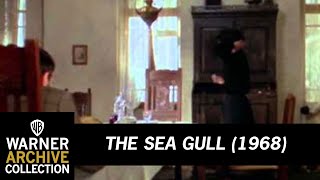 Preview Clip  The Sea Gull  Warner Archive [upl. by Ag]