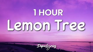 1 HOUR Lemon Tree  Fools Garden Lyrics 🎵 [upl. by Ayit]