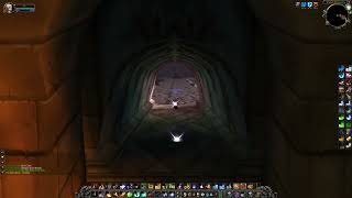 Fallen Champion Scarlet Monastery Graveyard Rare WoW Classic  WoW SoD [upl. by Araiet989]