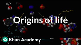 Origins of life  Biology  Khan Academy [upl. by Kapeed]