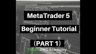 MetaTrader 5 Beginner Tutorial Part 1 [upl. by Jennifer563]