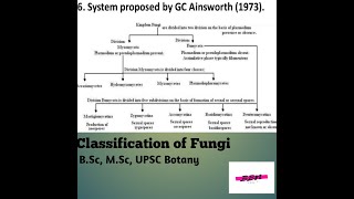 Classification of Fungi BSc MSc UPSC Botany [upl. by Lyontine]