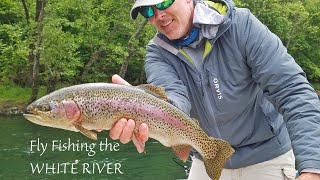 Fly Fishing the WHITE RIVER in Arkansas for MONSTER TROUT [upl. by Innattirb]