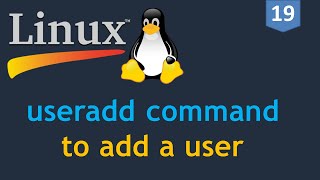 19  Linux for DevOps  Creating a User  useradd command  How to add a user on Linux [upl. by Ahsikit]