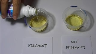 Home Pregnancy Test with Bleach Positive [upl. by Asikal791]