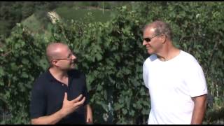 In The Vineyard with Giacomo Conterno [upl. by Rollin496]