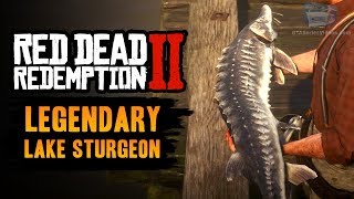 Red Dead Redemption 2 Legendary Fish  Legendary Lake Sturgeon [upl. by Narrat29]