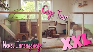 Neues XXL Innengehege für Kaninchen  Cage Tour [upl. by Spark]