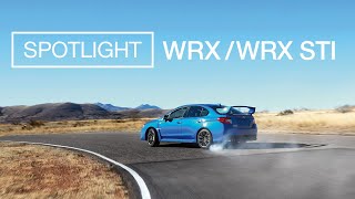 Subaru WRX and WRX STI  Spotlight [upl. by Sylvie]