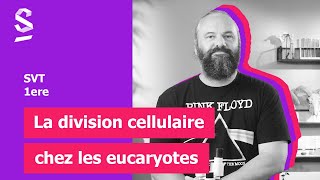 La division cellulaire chez les eucaryotes  SVT  1ere [upl. by Zile577]