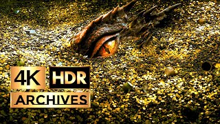 The Hobbit  The Desolation of Smaug ● Part 1 of 3 ● The Hobbit And The Dragon  HDR  4K  51 [upl. by Latreese95]