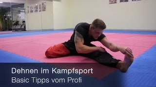 Dehnen im Kampfsport  Basic Tipps vom Profi [upl. by Seaman]