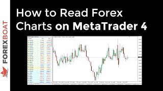 How to Read Forex Charts on MetaTrader 4 [upl. by Gustavo]