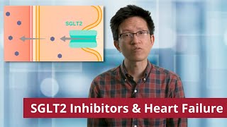 SGLT2 Inhibitors and Heart Failure [upl. by Ezeerb]