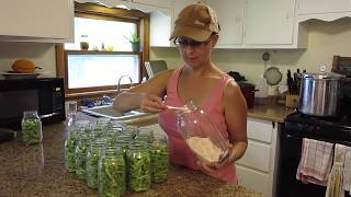 How to Can Green Beans Our FIRST Canning Goal REACHED [upl. by Rodenhouse]