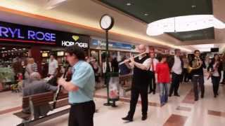 Flashmob symphonique  Centre commercial Auchan Noyelles [upl. by Michaud]