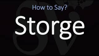 How to Pronounce Storge CORRECTLY LOVE Meaning amp Pronunciation [upl. by Llehsam]