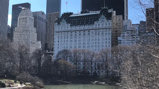 The Plaza Hotel New York City review featuring the Fitzgerald Suite [upl. by Tower]