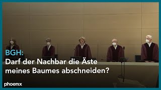 BGH Darf der Nachbar die Äste meines Baumes abschneiden [upl. by Pernick82]