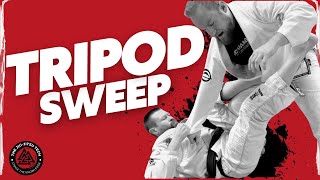 Tripod Sweep  BJJ Technique [upl. by Natye]