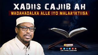 XADIIS CAJIIB AH WADAHADALKA ALLE SW amp MALAAIKTIISA ⁴ᴷ┇ Sh Mustafe Xaaji Ismaaciil [upl. by Akahc]