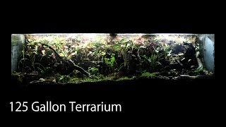 125 Gallon TerrariumVivarium  Anoles Firebellied Toads amp House Gecko [upl. by Rabi632]