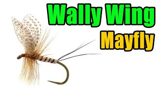 Wally Wing Mayfly Fly Tying [upl. by Htepsle]