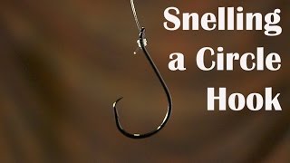 How to Tie a Snell Knot on a Circle Hook [upl. by Lise359]