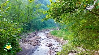 8 Hours Relaxing Nature Sounds  River Noise and Birdsong [upl. by Kei825]