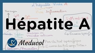 Hépatite A symptômes sérologie de lhépatite A vaccin et traitement [upl. by Yatnahs]