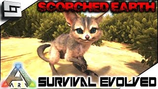 ARK Scorched Earth  TAMING A JERBOA Part 1  Scorched Earth Map Gameplay [upl. by Neirad384]